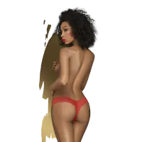 Penthouse Low Rise Brazilian Lace Panties Couples